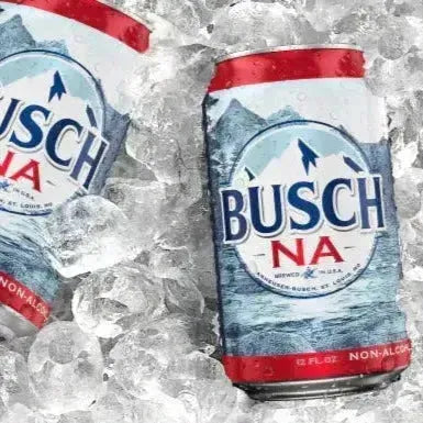 Busch Non-Alcoholic NA (12 pack cans) - bardelia