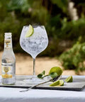 Fever-Tree Refreshingly Light Tonic Water - bardelia