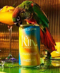 Kin Euphorics - Kin Actual Sunshine Non-Alcoholic Beverage - bardelia