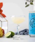 Roots Divino Bianco Non-Alcoholic Aperitif - bardelia