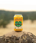 Sierra Nevada Non-Alcoholic Golden Trail Pass - bardelia