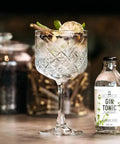 Sir. James 101 Alcohol-Free Gin Tonic - bardelia