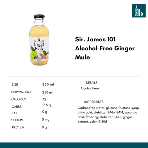 Sir. James 101 Alcohol-Free Ginger Mule - bardelia